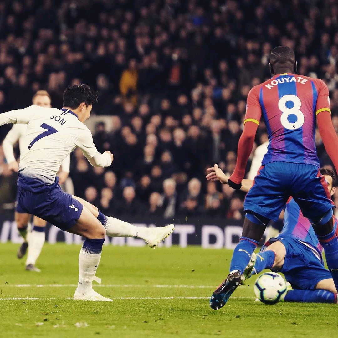 球员和看台 球员和看台